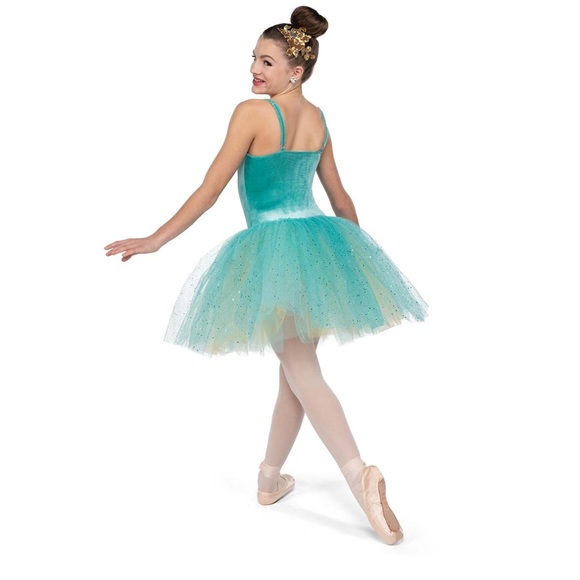 A WISH COME TRUE BALLET DANCE COSTUME - Picture 2 of 3